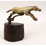 A RARE HORN / RHINO HORN CAR MASCOT, "A LEAPING HORSE", on a wooden stand. the horse: 27.5cm,