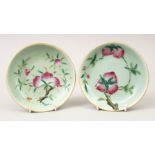 A PAIR OF MID 19TH CENTURY FAMILLE ROSE CELADON PEACH DISHES, both dishes decorated with peach