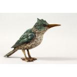 A PAINTED COLD CAST BRONZE BIRD VIENNA by BERGMANN. 8ins long.