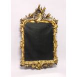 A GOOD VICTORIAN GILT WOOD AND COMPOSITE MIRROR, with scrolls and flowers. 2ft 9ins long.