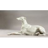 A VIENNA WHITE PORCELAIN MODEL OF A RECLINING GREYHOUND. 10ins long. One leg AF.