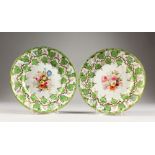 A PAIR OF BOTANICAL PLATES, with pierced sides and fruiting vines. 9ins diameter.