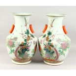 A LARGE PAIR OF CHINESE PORCELAIN BULBOUS VASES, painted with birds and flowers.
