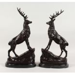 AFTER JULES MOIGNIEZ (1835-1894) FRENCH A GOOD PAIR OF BRONZE STAGS, on naturalistic bases with