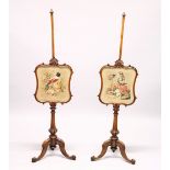 A GOOD PAIR OF VICTORIAN MAHOGANY POLE SCREENS, with Brussels needlework panels of birds, turned