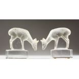 A PAIR OF LALIQUE SMALL STANDING DEER, signed to the rectangular base. 3ins high.