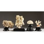 FOUR CORAL SPECIMENS, on ebonised bases. Largest: 6ins high.