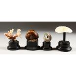 A SMALL CORAL SPECIMEN, and three other specimens, on ebonised bases. Coral: 3ins wide.