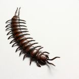 A JAPANESE BRONZE ARTICULATED CENTIPEDE