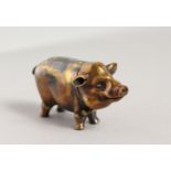 A BRASS PIG VESTA.