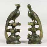 A GOOD PAIR OF CHINESE CARVED JADEITE / NEPHRITE PEACOCKS. 8.5ins high.