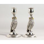 A GOOD PAIR OF SILVER PLATE CANDLESTICKS, modelled as owls, with glass eyes, on circular bases. 7.
