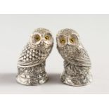 A PAIR OF .800 OWL SALT AND PEPPERS.