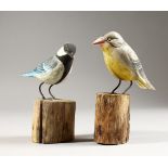 TWO CARVED AND PAINTED MODELS OF BIRDS. 5.5ins and 6ins high.