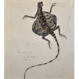 Early 19th Century English School. "Draco Lineatus", a Flying Lizard, Watercolour, Inscribed,