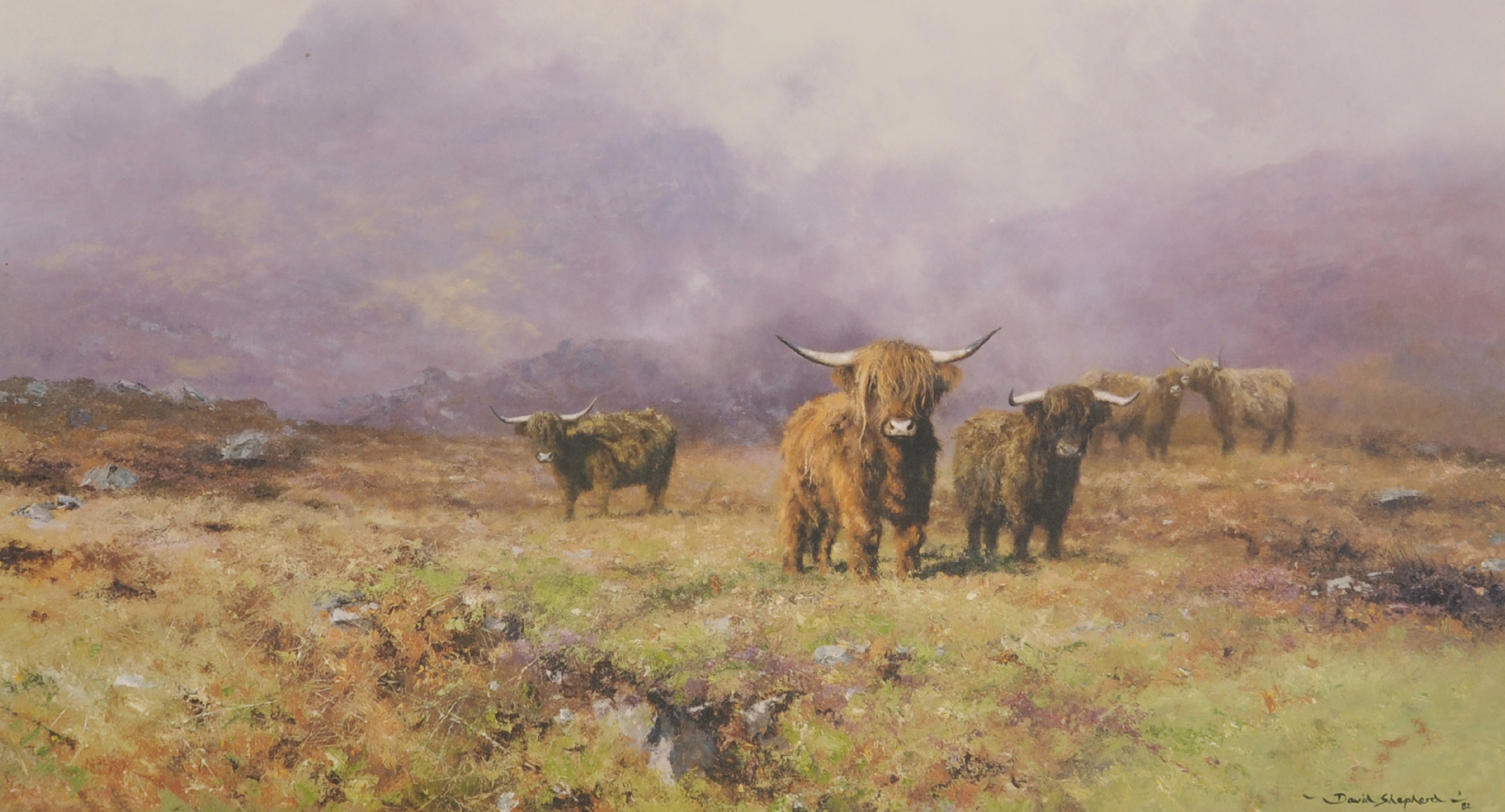 David Shepherd (1931-2017) British. "Highland Cattle", Lithograph, Signed and Numbered in Pencil