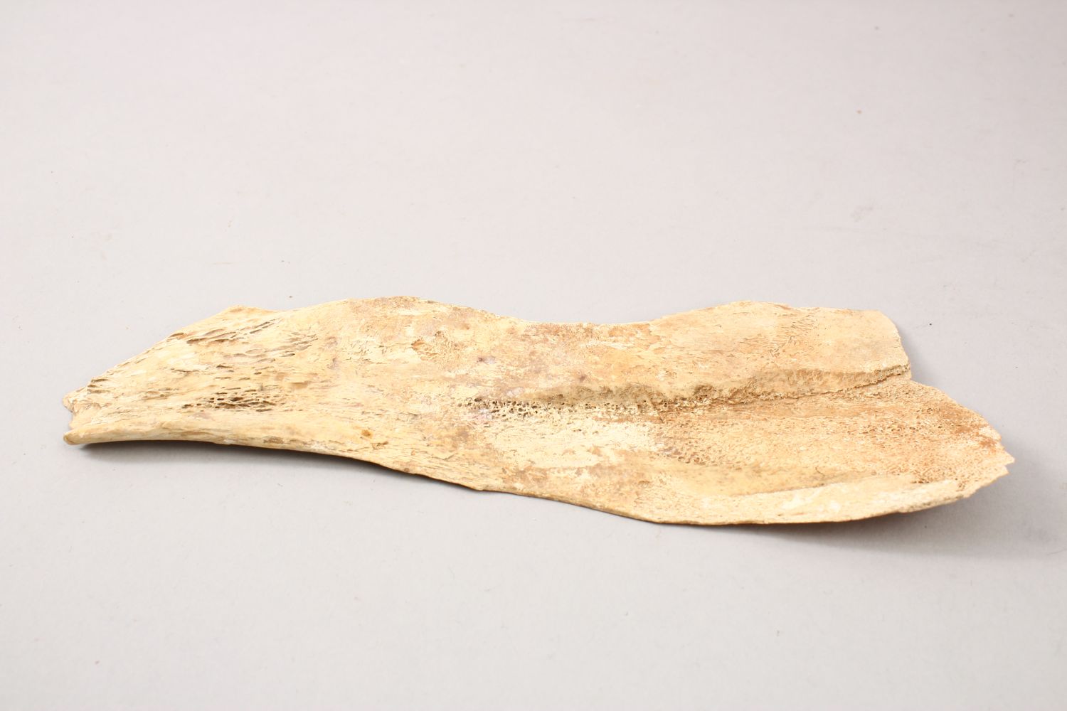 A GOOD CHINESE PIECE OF CARVED CALLIGRAPHIC BONE FRAGMENT, SCHOLARS OBJECT, the bone section with - Image 8 of 8