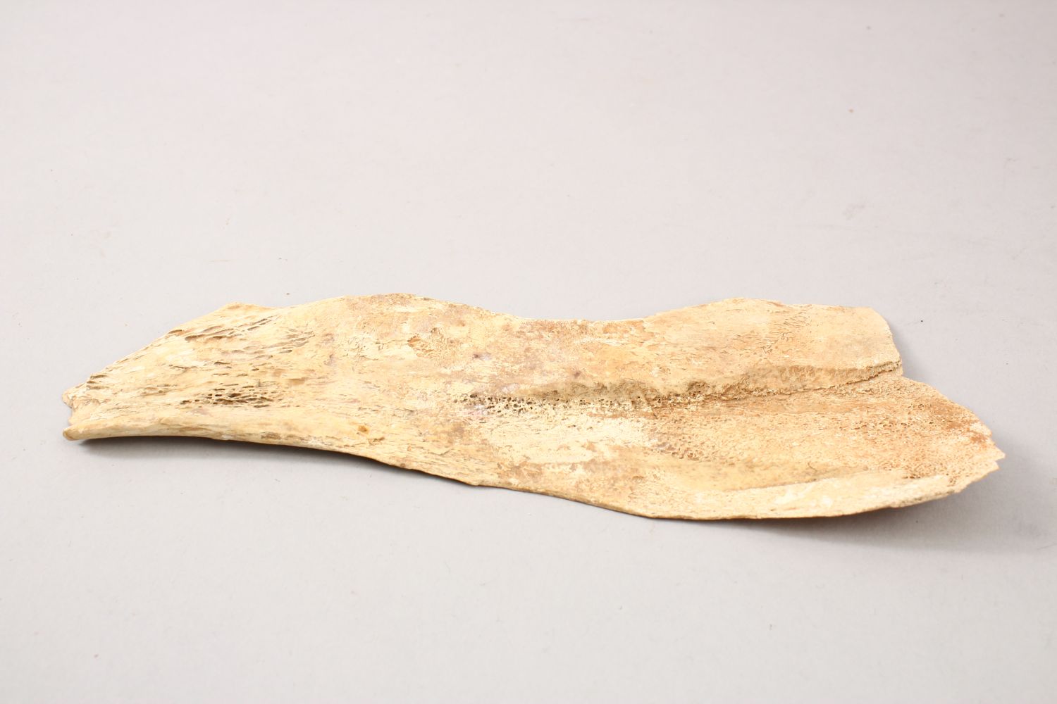 A GOOD CHINESE PIECE OF CARVED CALLIGRAPHIC BONE FRAGMENT, SCHOLARS OBJECT, the bone section with - Image 7 of 8