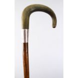 A GOOD 19TH CENTURY RHINO HORN HANDLED WALKING CANE, with a silver hallmarked collar, 83cm high.