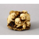 A GOOD JAPANESE LATE EDO / MEIJI PERIOD CARVED STAG ANTLER NETSUKE OF PUPPIES, the netsuke depicting