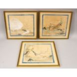 THREE 19TH CENTURY CHINESE HAND PAINTED WATERCOLOURS - FRAMED, each depicting peacocks and parrots