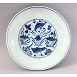 A CHINESE BLUE & WHITE PORCELAIN CARP DISH / PLATE, decorated with swimming carp amongst reed, the