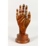 AN UNUSUAL CARVED AND PAINTED PALM READING HAND, on turned wood stand. 10.5ins high.