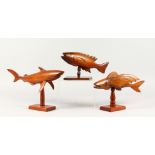 THREE PITCAIRN ISLAND CARVED FISH ON STANDS. Largest: 16ins long.