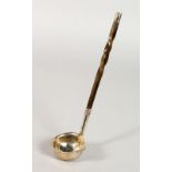 A SILVER TODDY LADLE, with twisted horn handle. Dublin 1820. Maker: PG. 7ins long.
