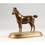 A CAST BRONZE MODEL OF A HORSE, on an oval base. 5.75ins long.