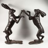 A VERY LARGE PAIR OF BRONZE DANCING HARES. 2ft 4ins high.