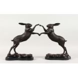 A SMALL PAIR OF BRONZE BOXING HARES, on shaped marble bases.