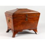 A LARGE REGENCY MAHOGANY SARCOPHAGUS-SHAPED MINIATURE CELLARETTE with lift-up lid, velvet