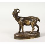 A SMALL FRENCH ANIMALISTIC BRONZE OF A GOAT. 3ins high.
