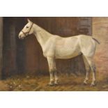 Frances Mabel Hollams (1877-1963) British. A Grey Horse in a Stable, Oil on Panel, Signed, 12.25"