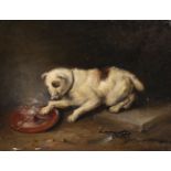 Circle of Martin Theodore Ward (1799-1874) British. Study of a Dog, with a Bowl of Steaming Food,