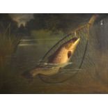 A... Rowland Knight (act.1810-1840) British. "Thames Burbet Fishing", a Brown Trout, Oil on