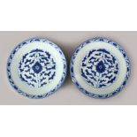 A PAIR OF JAPANESE MEIJI PERIOD BLUE & WHITE PORCELAIN PLATES, each decorated with scrolling