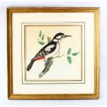 A GOOD INDIAN SCHOOL FRAMED PAINTING OF A BIRD, 35cm square.