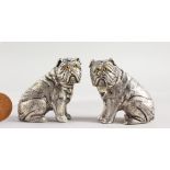 A PAIR OF CAST SILVER PLATED NOVELTY ENGLISH BULLDOG SALT AND PEPPERS.