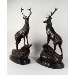 AFTER MOIGNIEZ A LARGE PAIR OF BRONZE STAGS, on a marble base. 29ins high.