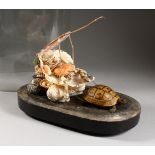 AN UNUSUAL SHELL WORK FIGURE GROUP WITH TORTOISE TAXIDERMY, housed under a glass dome. 18ins high.