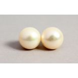 A LARGE PAIR OF GOLD MOUNTED PEARL STUDS.