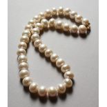 A GOOD STRING OF PEARLS with 14ct gold clasp.