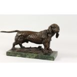 A CAST BRONZE MODEL OF A DACHSHUND, on a rectangular marble base. 18ins long.