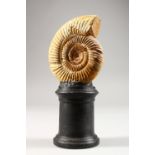 A FOSSILISED AMMONITE ON TURNED WOOD STAND. Overall Height: 6.5ins.