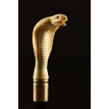 A BONE HANDLE WALKING STICK, carved as a cobra. 36ins long.