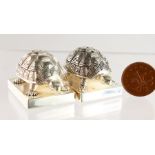 A PAIR OF CAST SILVER PLATED NOVELTY TORTOISE SALT AND PEPPERS.