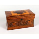 A GOOD TUNBRIDGE WARE MARQUETRY AND PARQUETRY TWO-DIVISION TEA CADDY, the domed top inlaid with