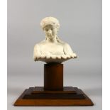 A CLASSICAL PARIAN BUST of a young lady, on a wooden base. 8.5ins high overall.